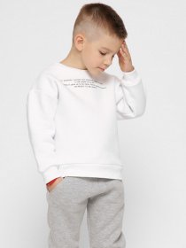 Світшот Braska модель SV-12001-3 Фото