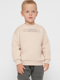 Свитшот Braska модель SV-12001-10 Фото