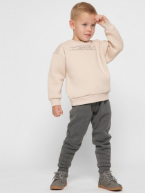 Свитшот Braska модель SV-12001-10 Фото