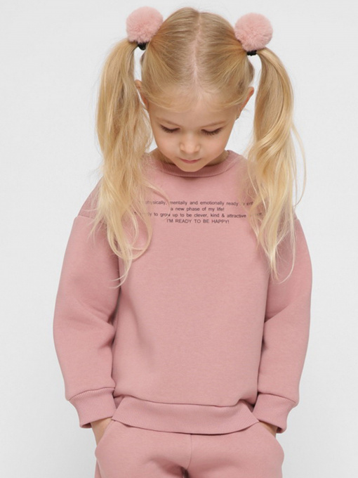 Свитшот Braska модель SV-12001-25 Фото