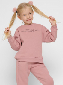 Світшот Braska модель SV-12001-25 Фото