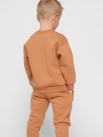 Свитшот Braska модель SV-12001-6 Фото