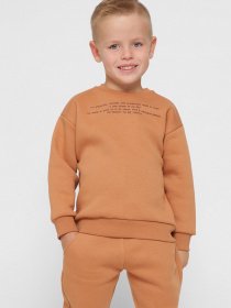 Свитшот Braska модель SV-12001-6 Фото