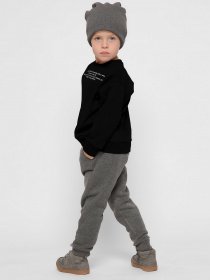 Свитшот Braska модель SV-12001-8 Фото