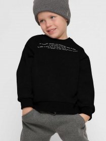 Свитшот Braska модель SV-12001-8 Фото