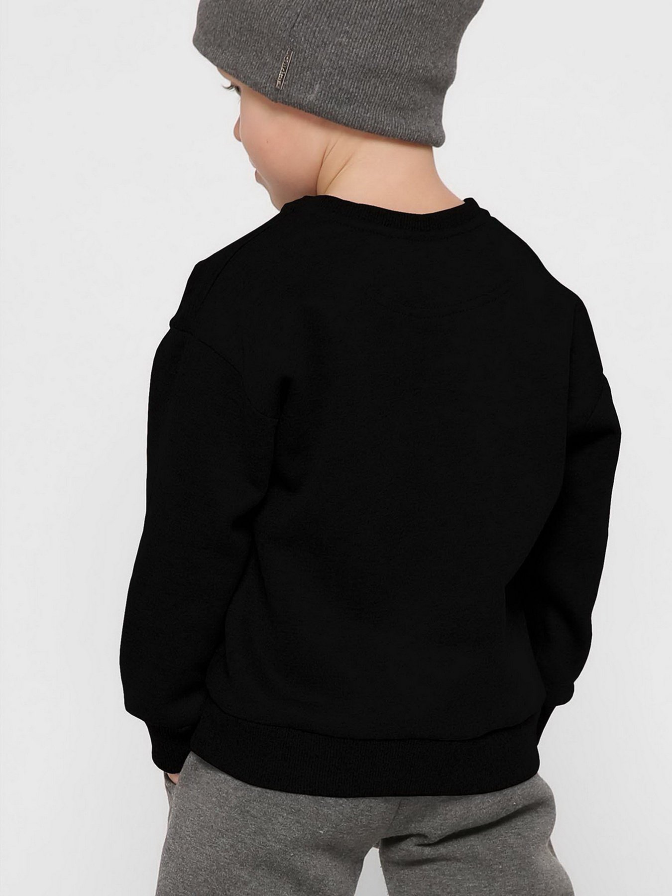 Світшот Braska модель SV-12001-8 Фото