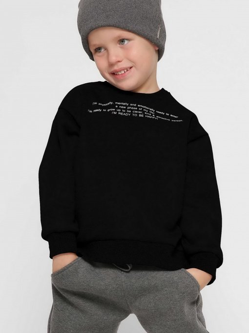 Світшот Braska модель SV-12001-8 Фото