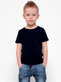 Футболка Braska модель 301-2 Фото