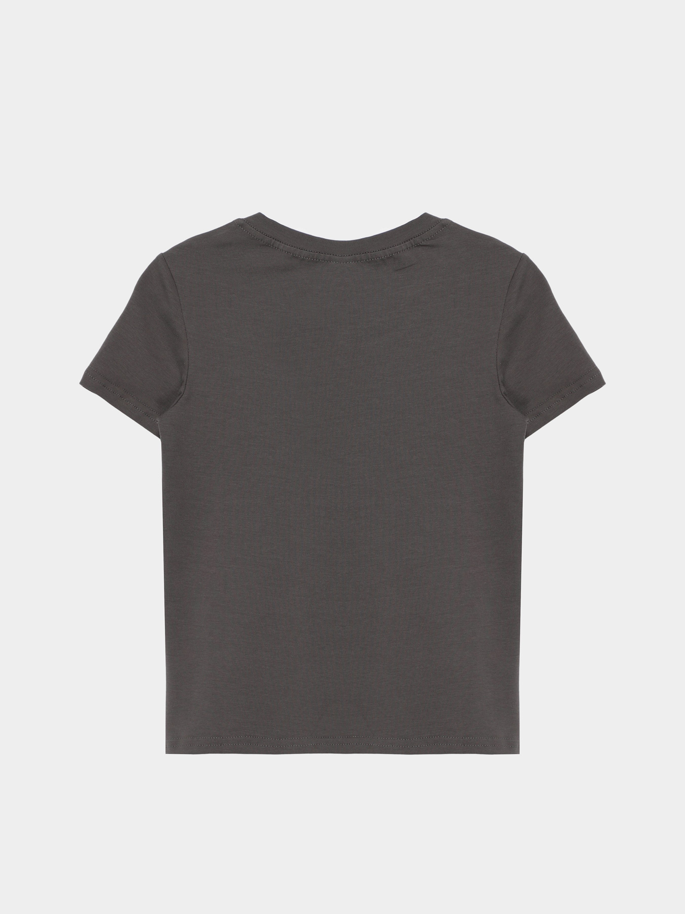 Футболка Braska модель 401-29 Фото