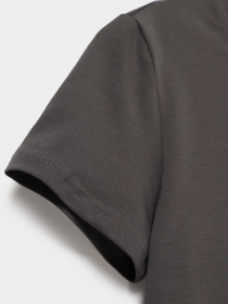 Футболка Braska модель 401-29 Фото