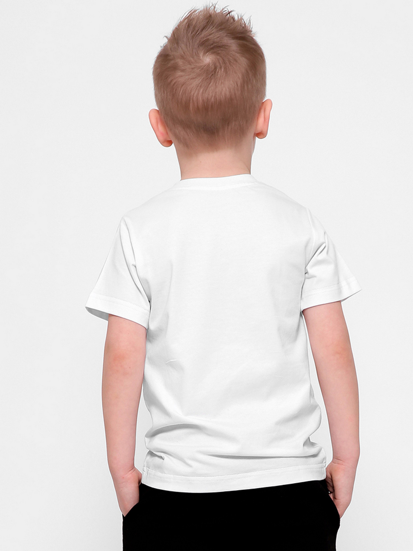 Футболка Braska модель 401-3 Фото