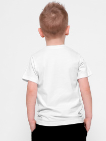 Футболка Braska модель 401-3 Фото