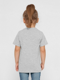 Футболка Braska модель 401-4 Фото