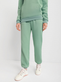 Спортивный костюм Braska модель 51-2041/314 Фото