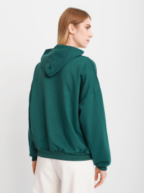 Худі Braska модель 51-2233/308 Фото