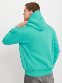 Худи Braska модель 51-8855/322 Фото