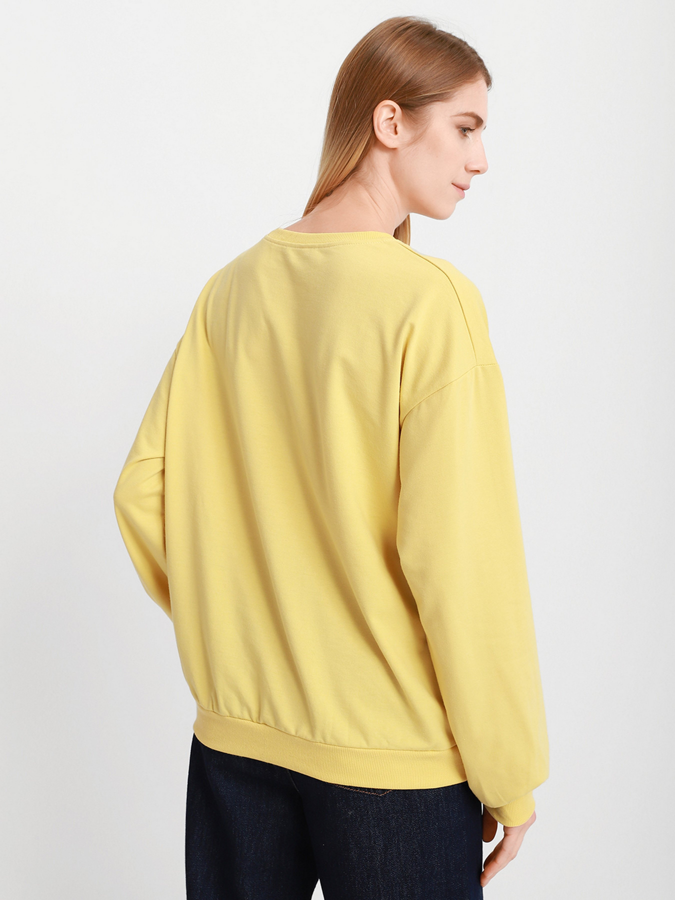 Свитшот Braska модель 51-0627/309 Фото