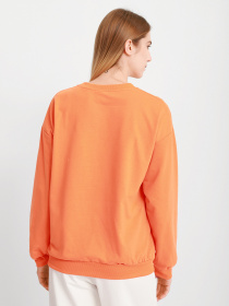 Свитшот Braska модель 51-0628/355 Фото