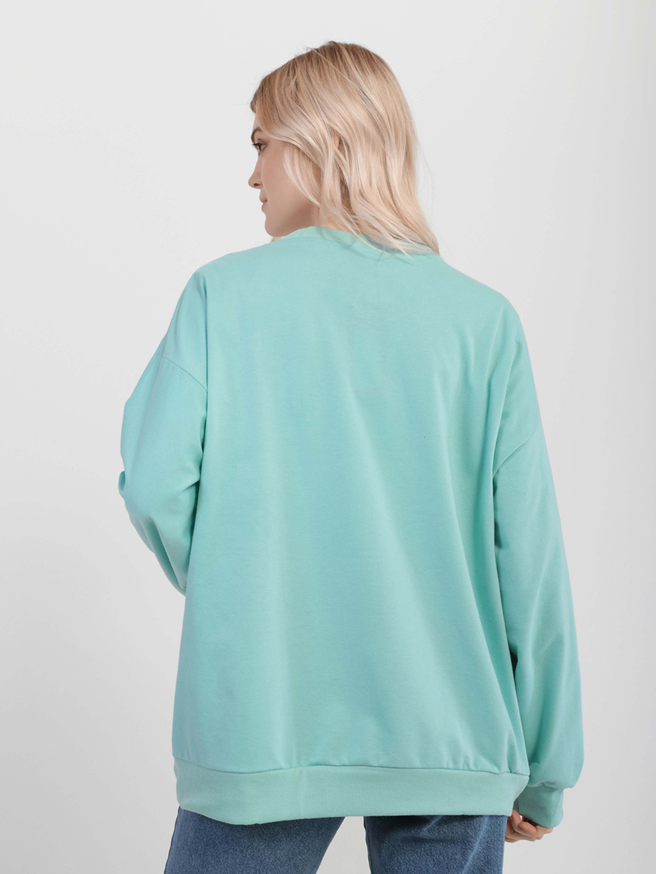 Свитшот Braska модель 51-0638/308 Фото