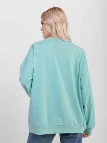 Світшот Braska модель 51-0638/308 Світшот Braska модель 51-0638/308 Фото