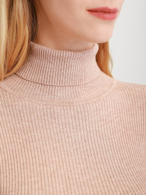 Водолазка Braska модель 51-6335/304 Фото