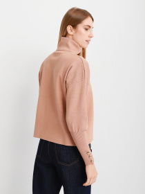 Водолазка Braska модель 51-0015/304 Фото