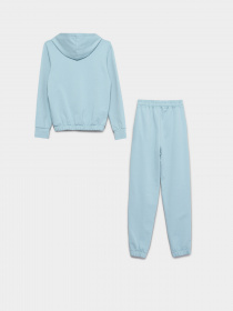 Спортивний костюм Braska модель 52-0554/309 Фото