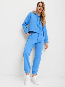 Спортивний костюм Braska модель 41-6933/318 Фото