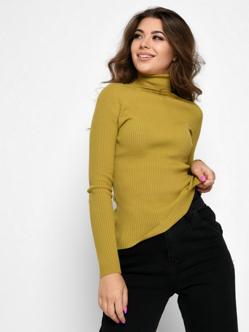 Водолазка Braska модель SV-6658-1 Фото