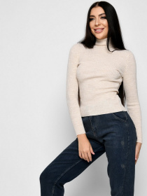 Водолазка Braska модель SV-6658-10 Фото