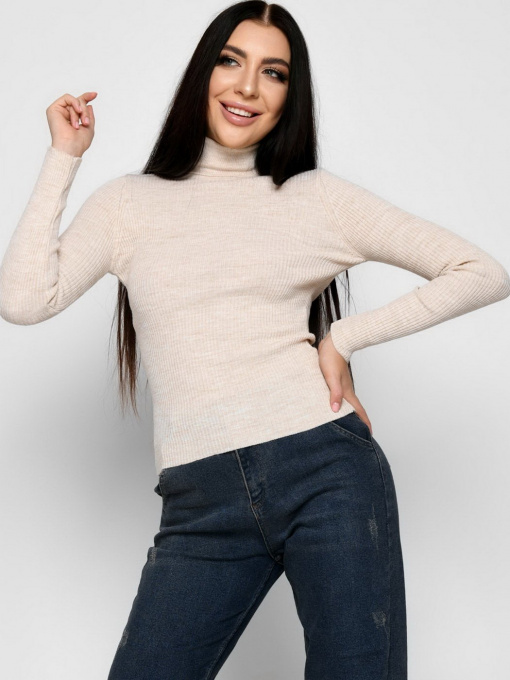 Водолазка Braska модель SV-6658-10 Фото