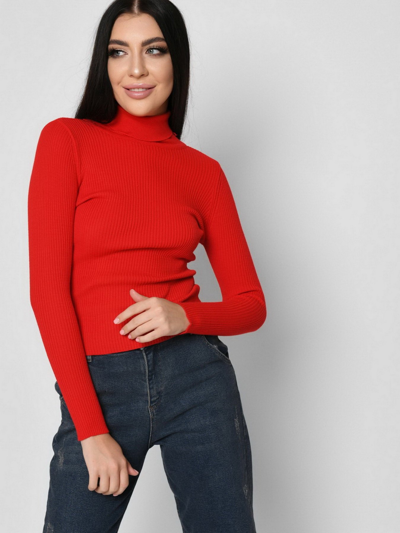 Водолазка Braska модель SV-6658-14 Фото