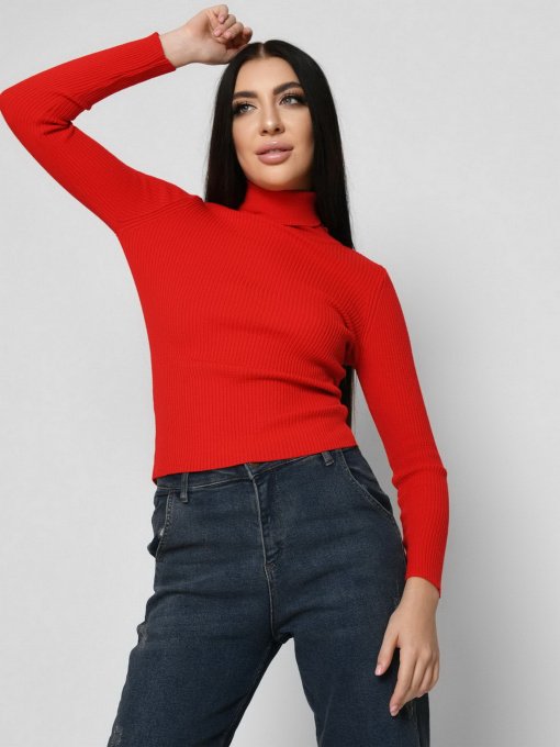 Водолазка Braska модель SV-6658-14 Фото