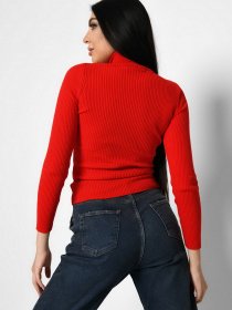 Водолазка Braska модель SV-6658-14 Фото