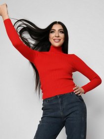 Водолазка Braska модель SV-6658-14 Фото