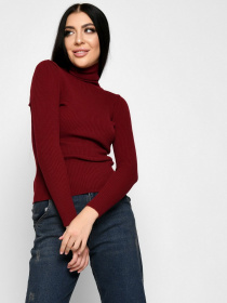 Водолазка Braska модель SV-6658-16 Фото