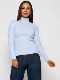 Водолазка Braska модель SV-6658-18 Фото