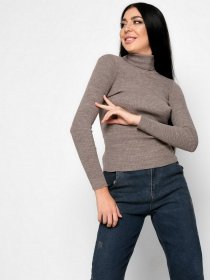 Водолазка Braska модель SV-6658-24 Фото