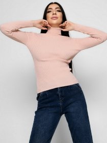 Водолазка Braska модель SV-6658-25 Фото