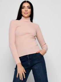 Водолазка Braska модель SV-6658-25 Фото