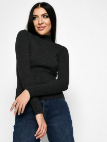 Водолазка Braska модель SV-6658-29 Фото