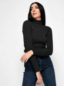 Водолазка Braska модель SV-6658-29 Фото