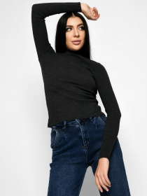 Водолазка Braska модель SV-6658-29 Фото