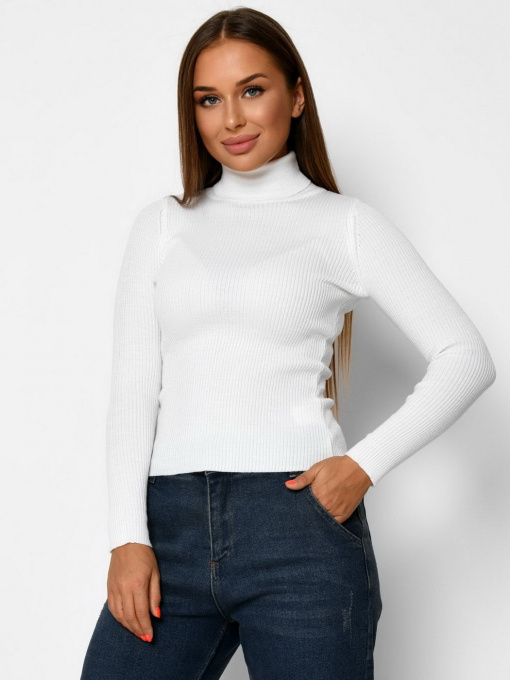 Водолазка Braska модель SV-6658-3 Фото