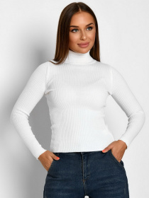 Гольф Braska модель SV-6658-3 Фото