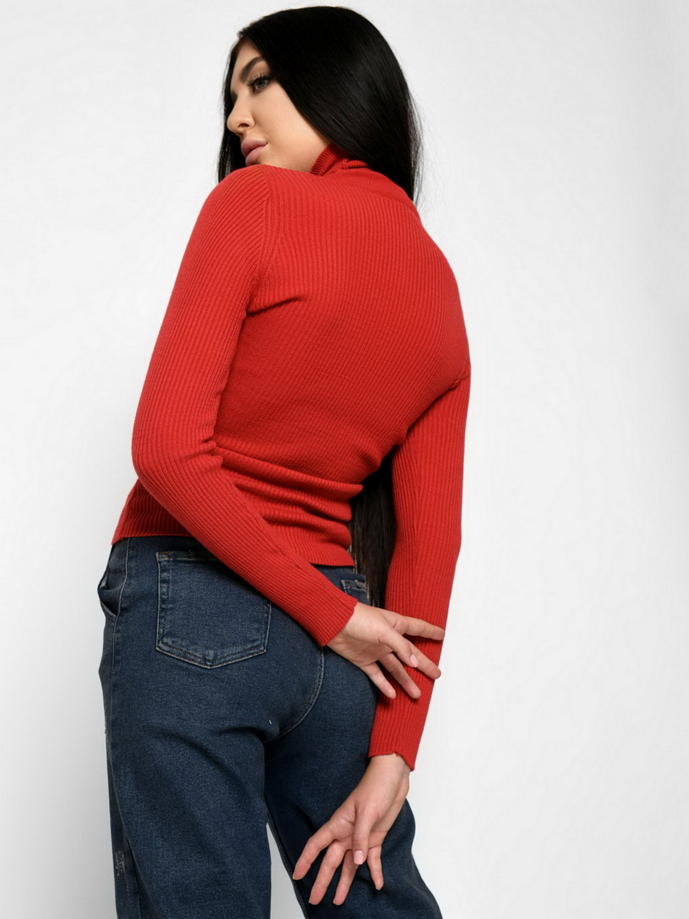 Водолазка Braska модель SV-6658-33 Фото