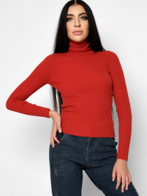 Водолазка Braska модель SV-6658-33 Фото