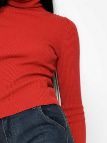 Водолазка Braska модель SV-6658-33 Фото