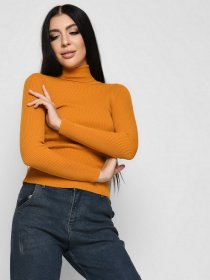 Водолазка Braska модель SV-6658-6 Фото