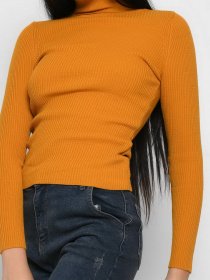 Водолазка Braska модель SV-6658-6 Фото